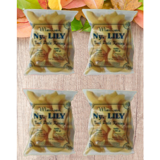 

Manisan Pala Kering Kupas Khas Lampung Ny. Lily 4 PCS