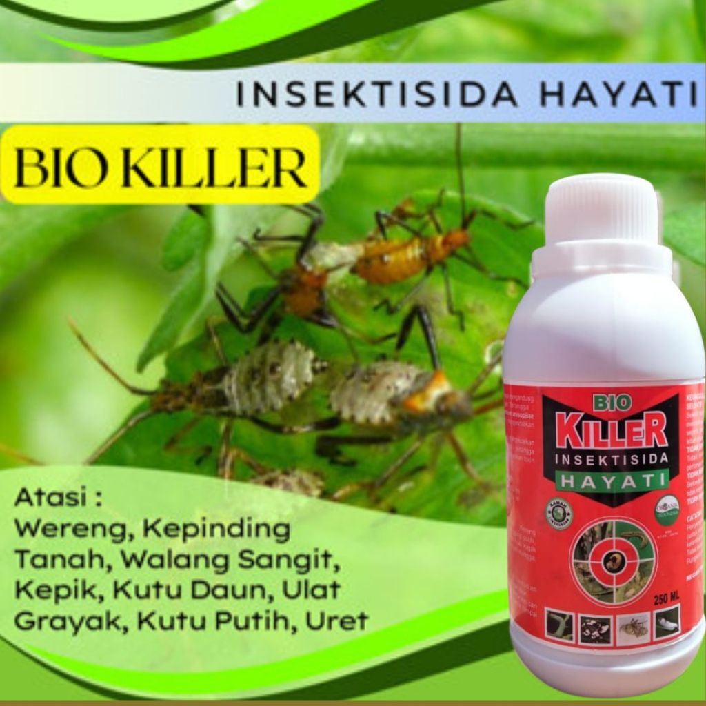 Insekisida Pembasmi Hama Ulat, Obat Hama Wereng Coklat Pada Tanaman Padi