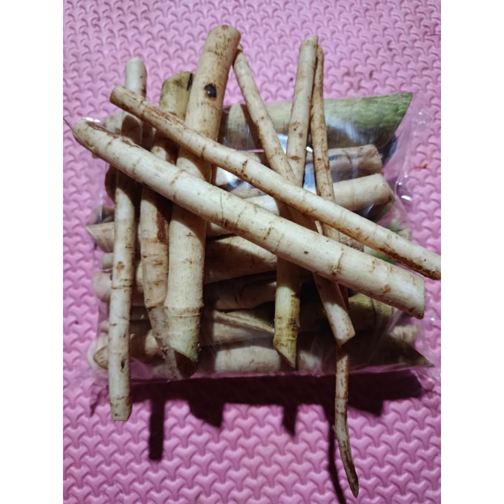 

Akar pepaya jantan akar pepaya gantung 1 kg pres