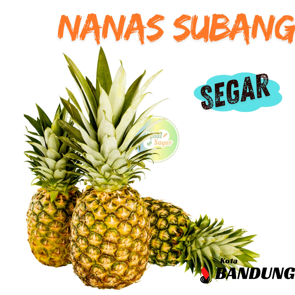 

Nanas Segar Bandung