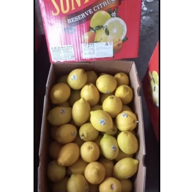 

Lemon Ausy 1 Dus 15,8 Kg per Box Fresh Jogja