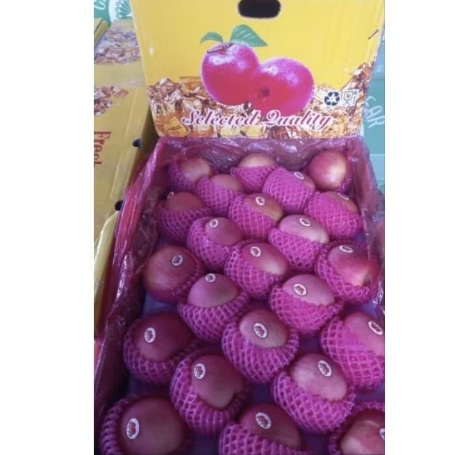 

Apel Fuji BK Size 100 1 Dus 18 Kg per box Fresh Jogja