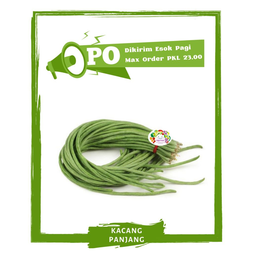 

Kacang Panjang / Sayur Sayuran Segar PO Mallahrizwa