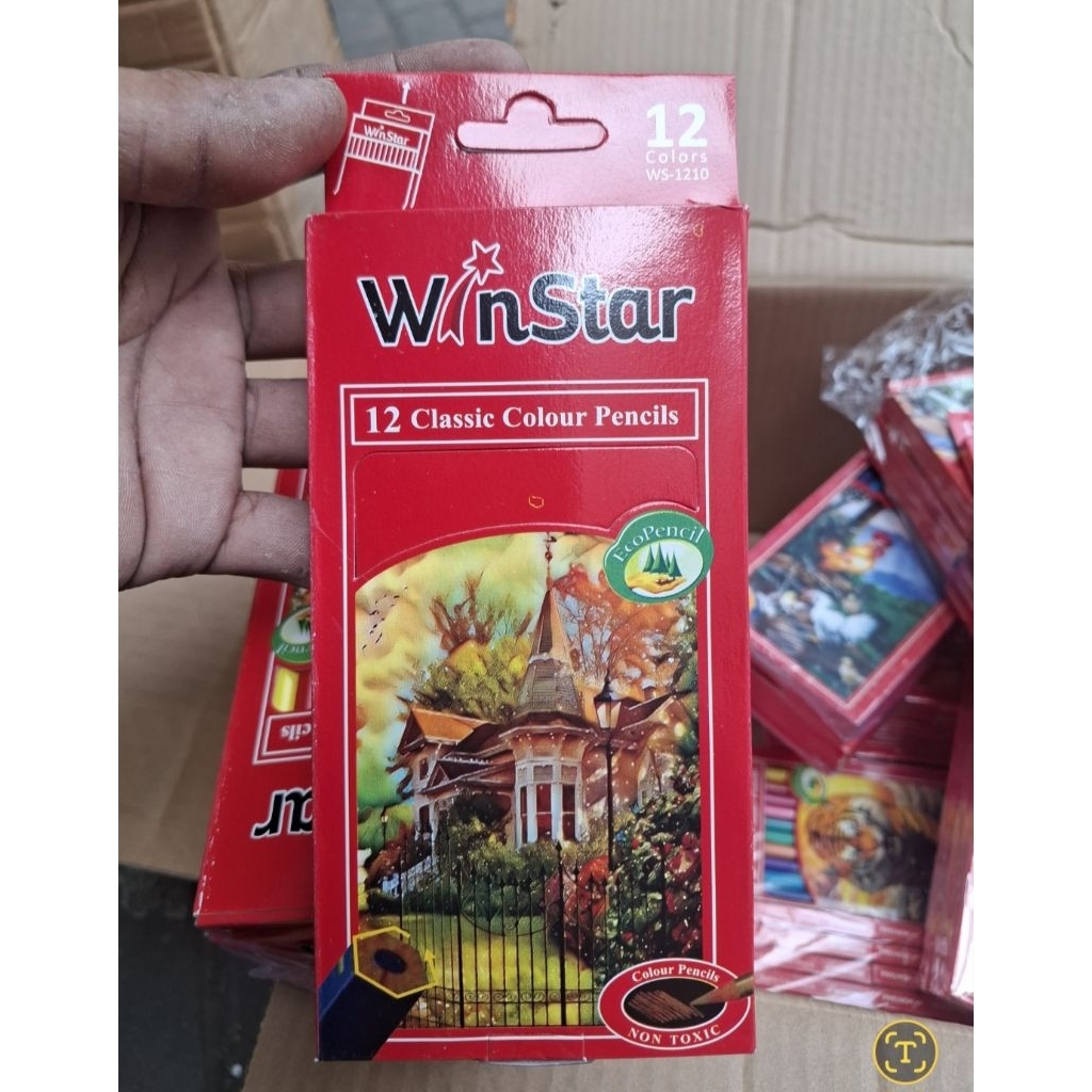 

[1set 12pc] Pinsil Warna Murah Panjang / pendek