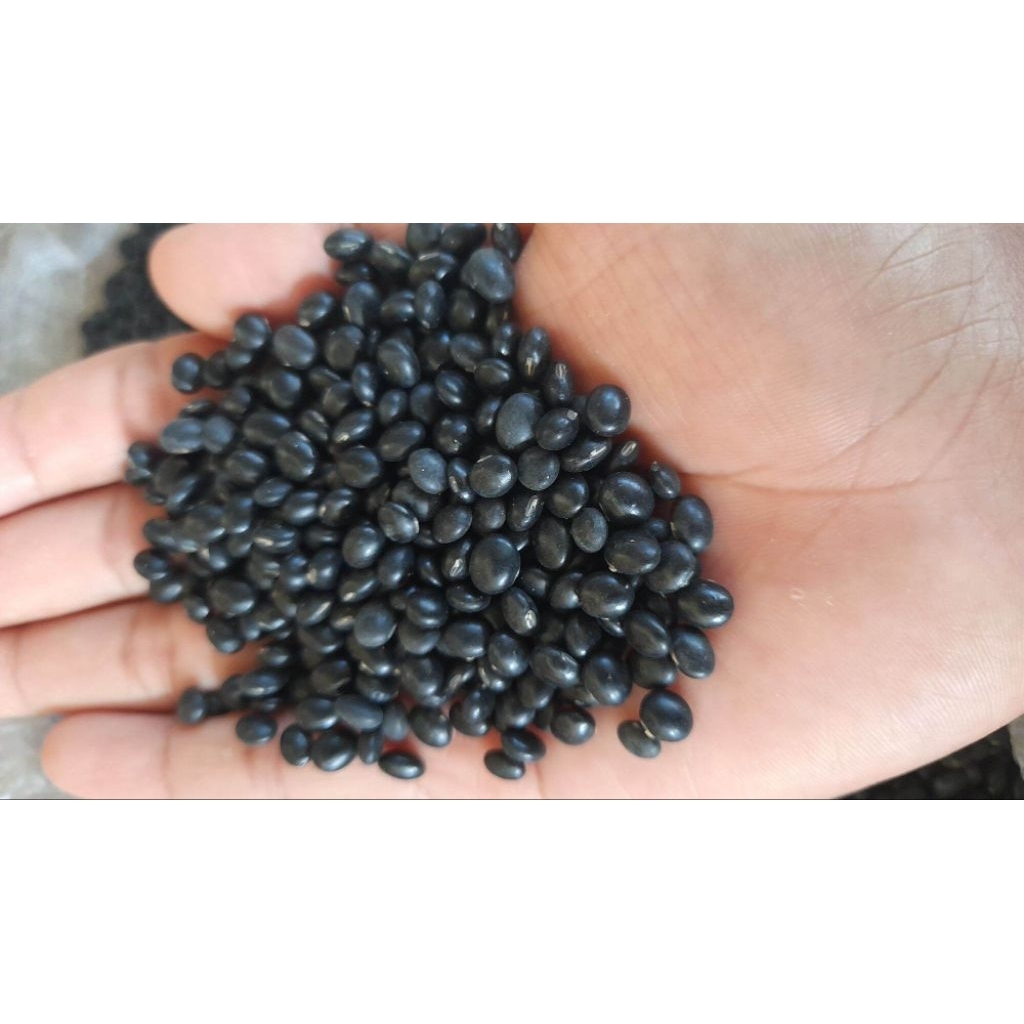 

kacang kedelai hitam lokal olahan petani