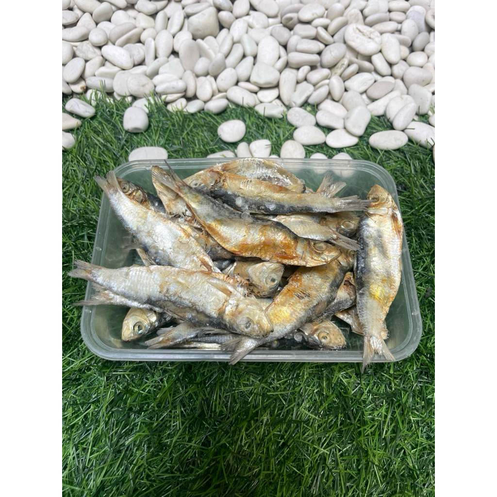 

Ikan Kering Asin Murah!