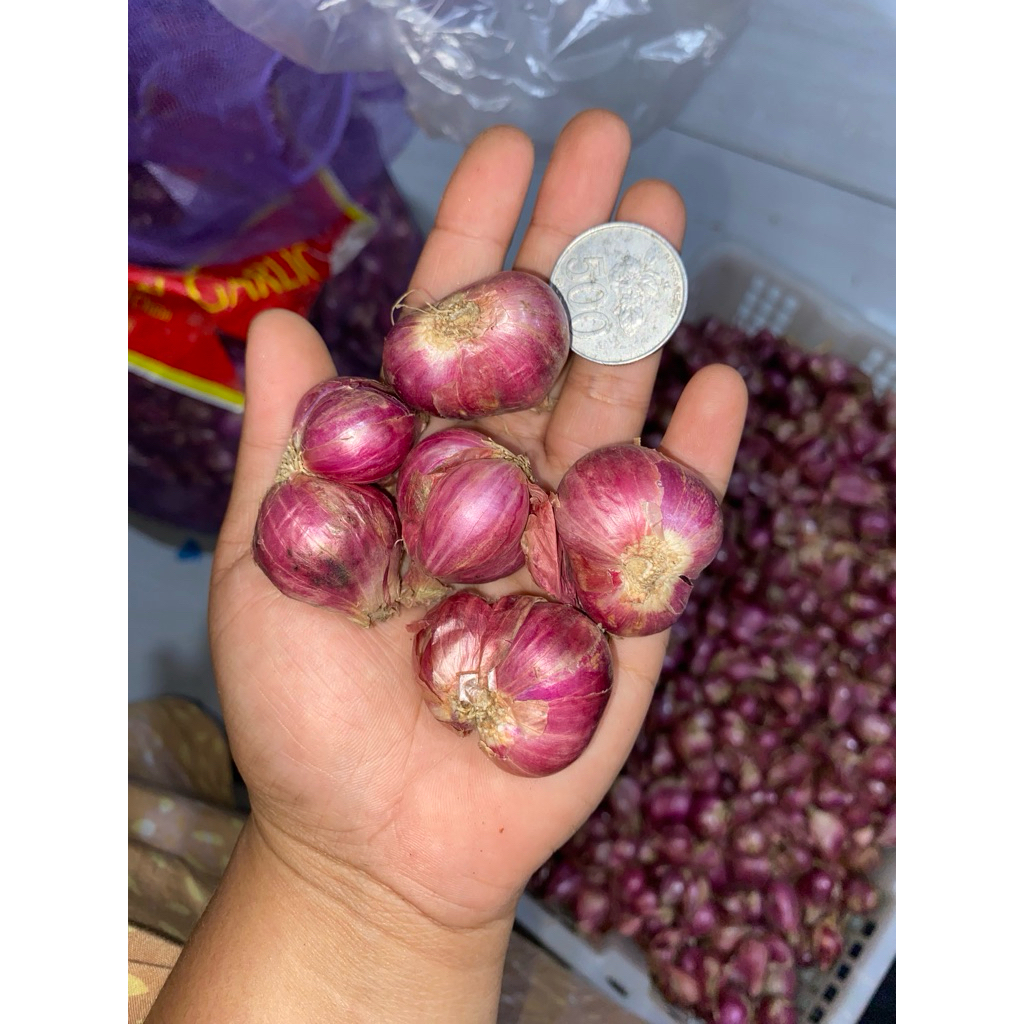 

Bawang merah probolinggo 1kg