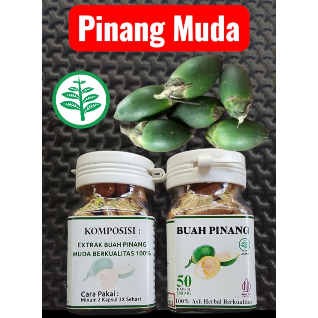 

Buah pinang Muda berkualitas #buahpinangmuda isi 50. kapsul