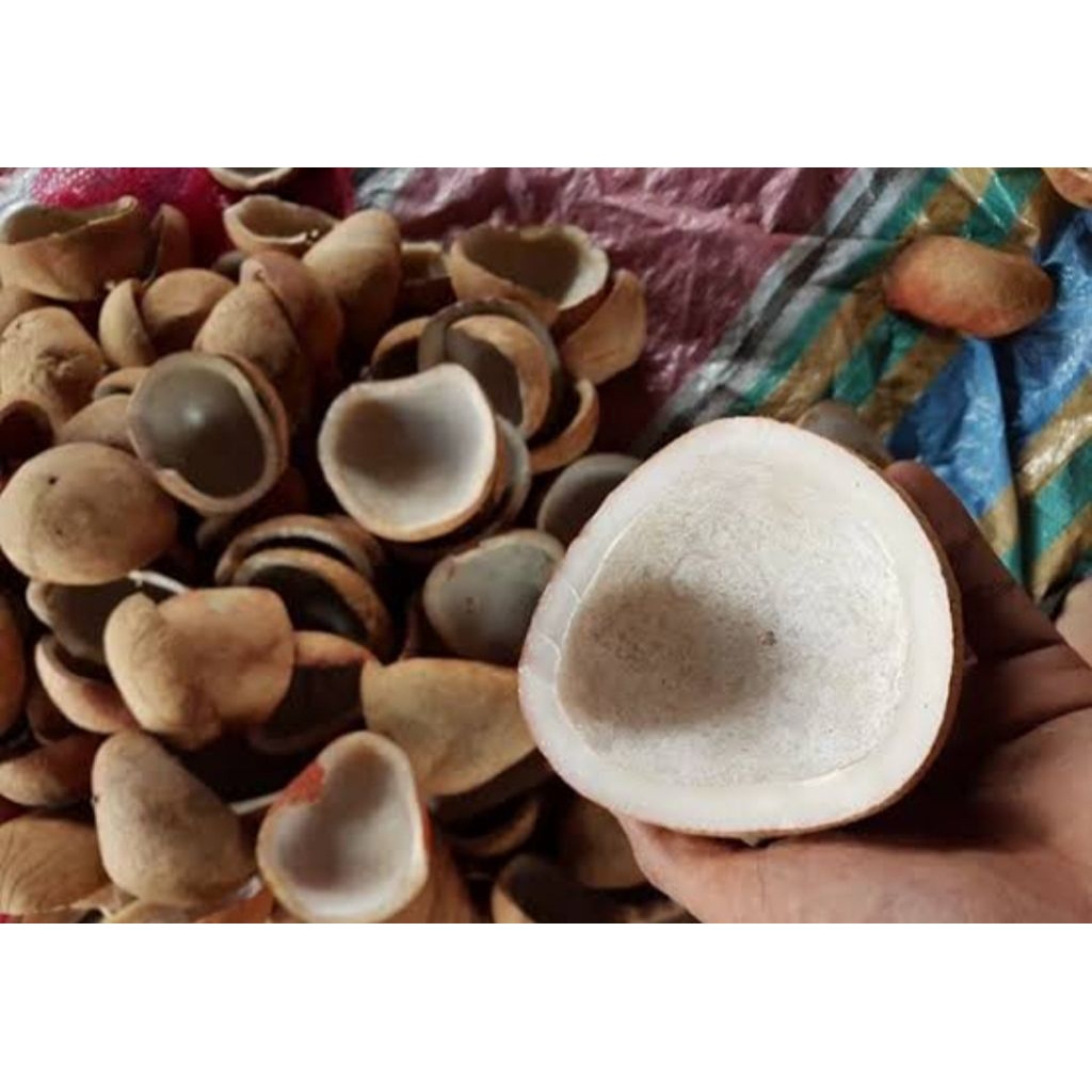 

KOPRA 1 kg [ TERMURAH]