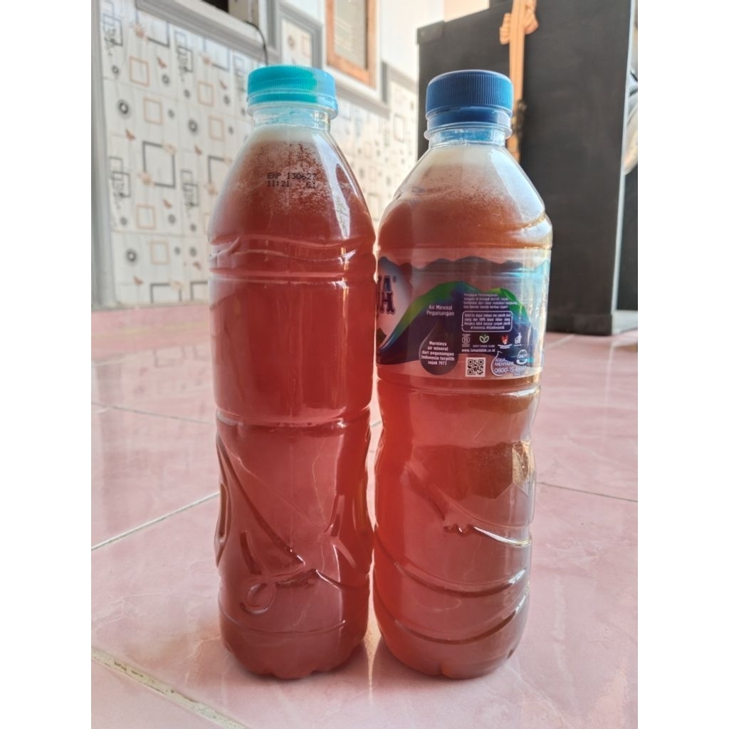 

MADU ASLI MURNI 100% TANPA CAMPURAN GULA 600 ML