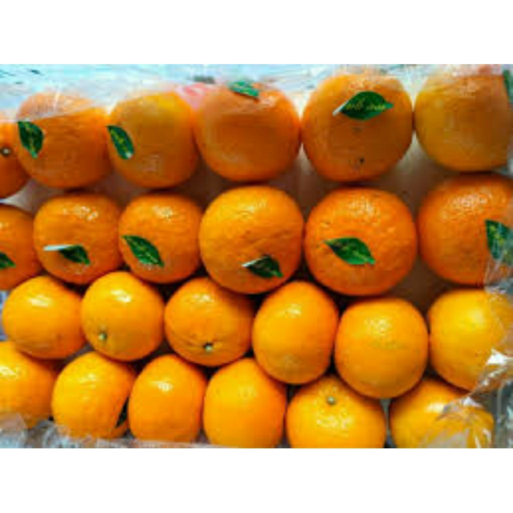

jeruk Mandarin buah segar berkualitas