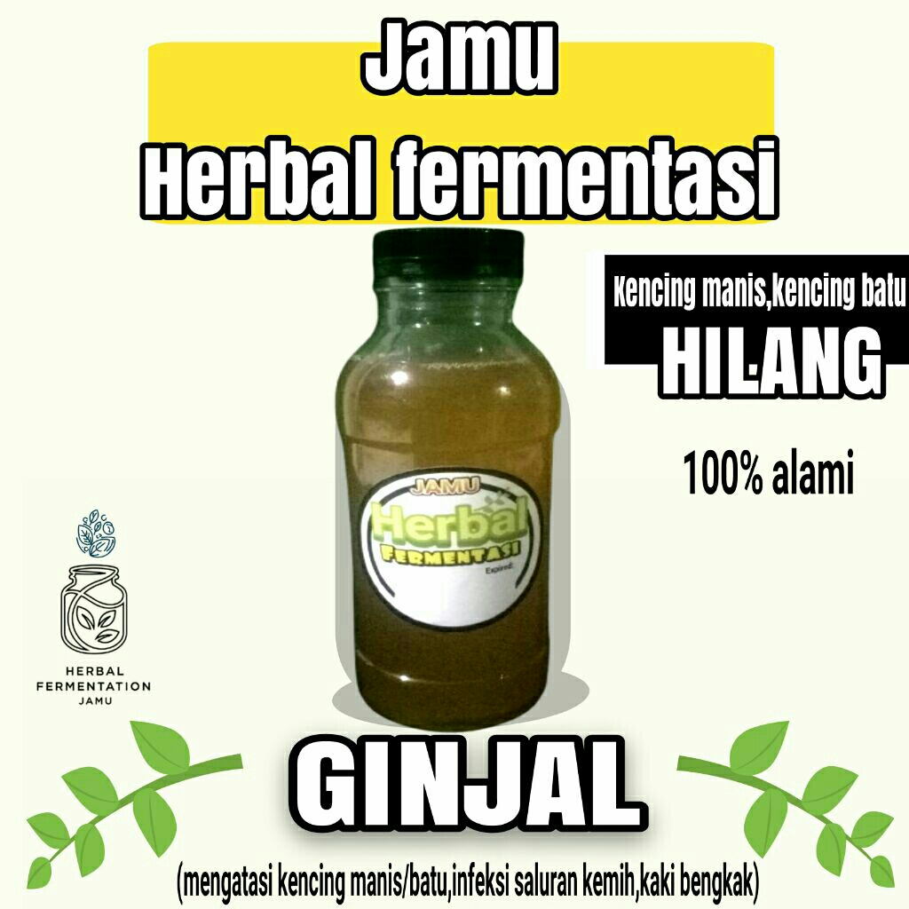

jamu ginjal
