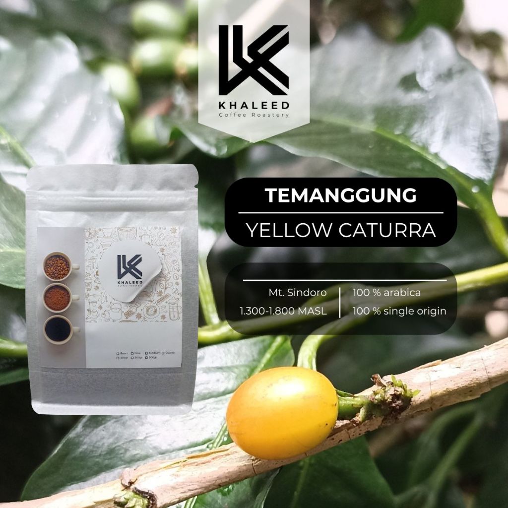 

Kopi Arabika Temanggung Sindoro Yellow Caturra Natural