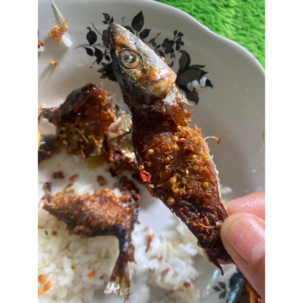 

PINDANG DENDENG KEMASAN 250 gr (isi 12 biji)