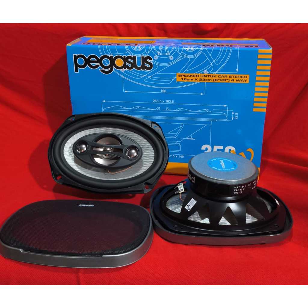 Speaker Oval Pegasus PG-6974 - Oval Pegasus Magnet Besar - Suara Top