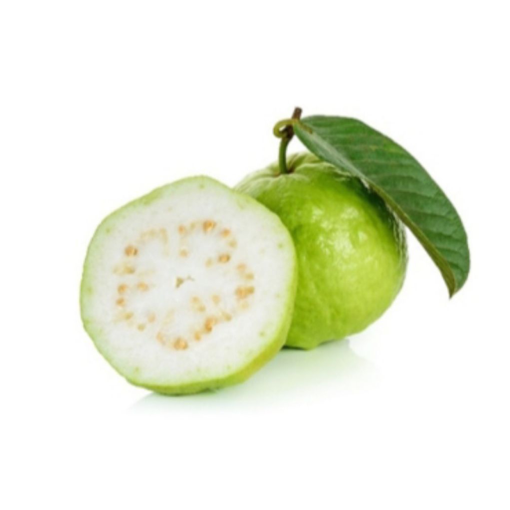 

Jambu kelutuk Taiwan / Jambu klutuk ( 5 buah )