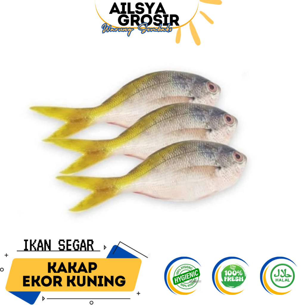 

Ikan Ekor Kuning Segar - Ikan Laut fresh 1 Kg