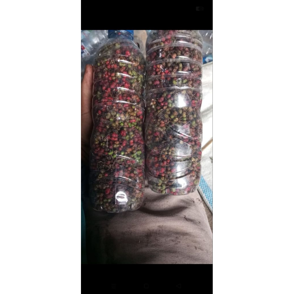 

Andaliman segar isi 250gr TDK BS COD