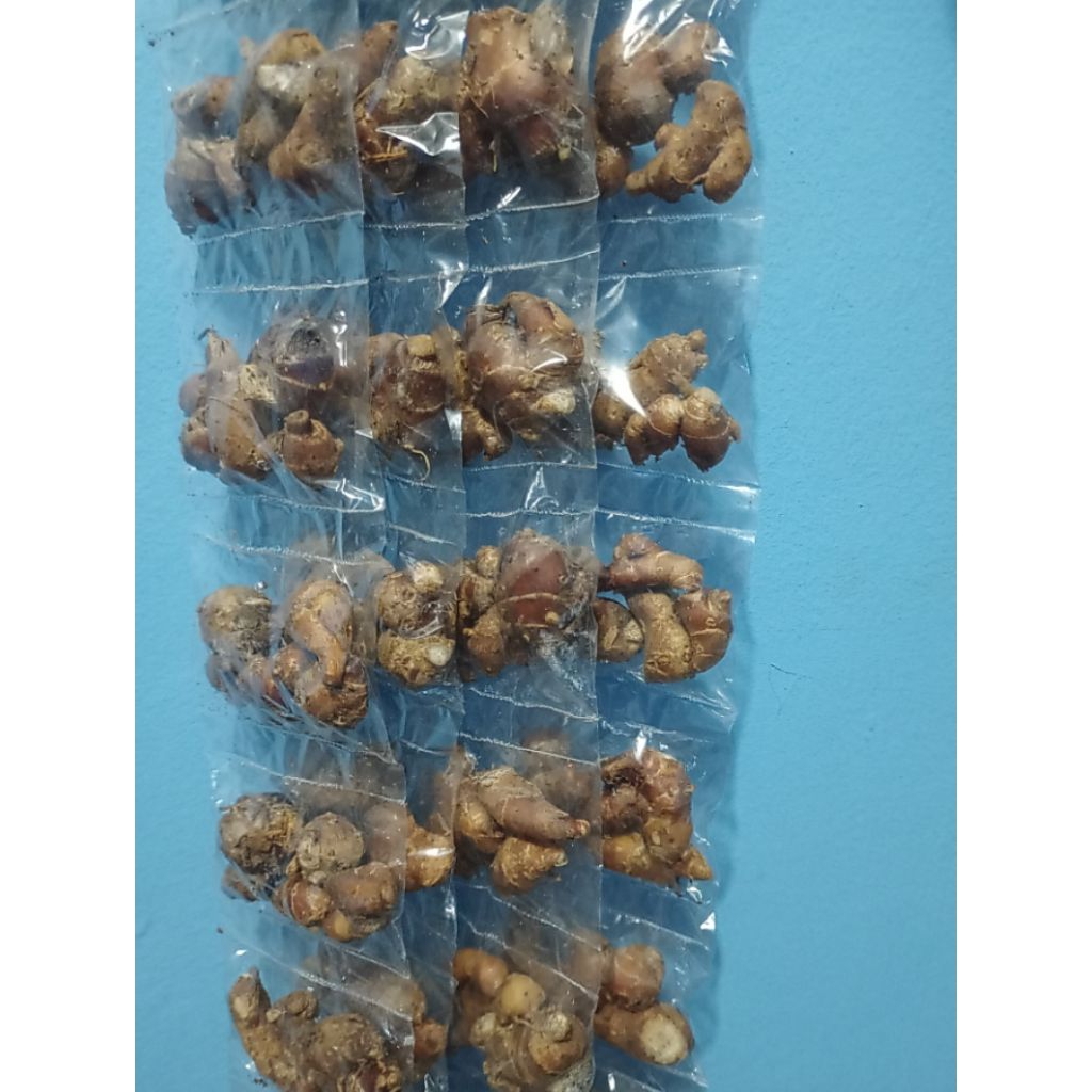 

Bumbu rentengan kencur isi 10 pcs