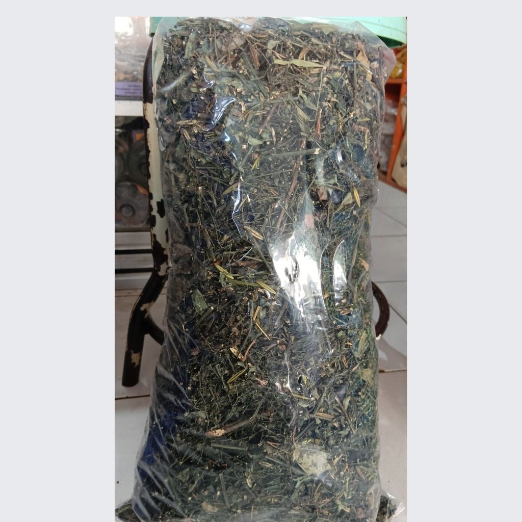 

Sambiroto / Sambiloto Daun Asli Sudah di Sortir