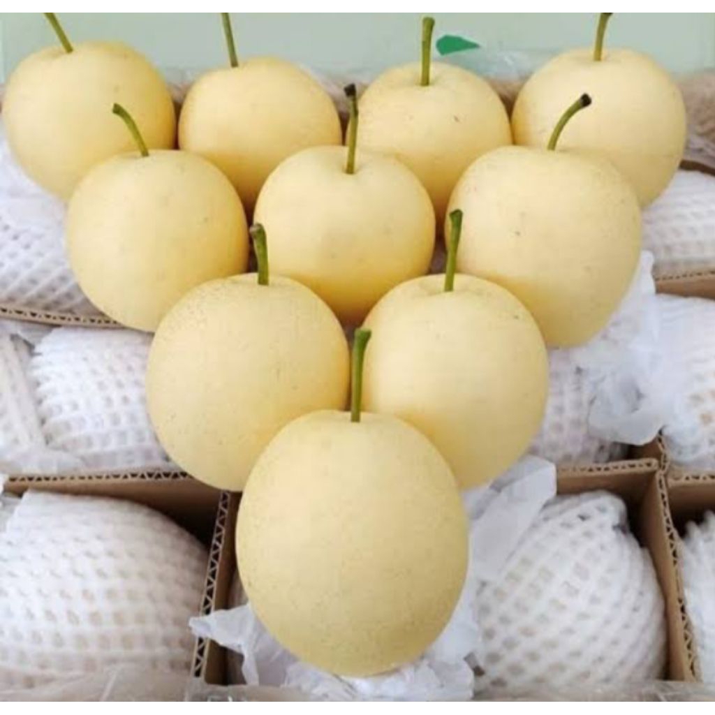 

pir fresh dan segar netto 1000gr