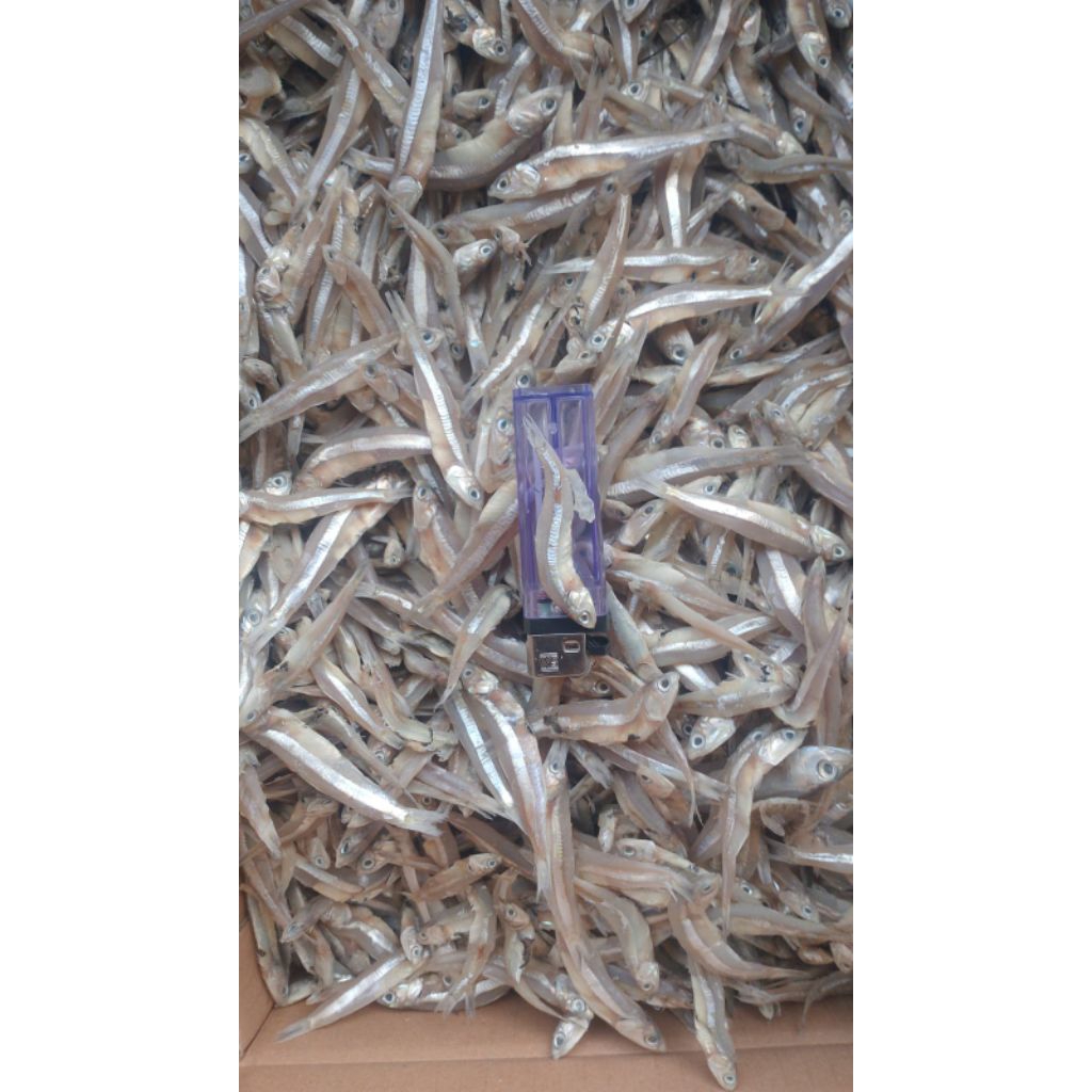 

teri jengki/ikan asin teri super murah 1kg