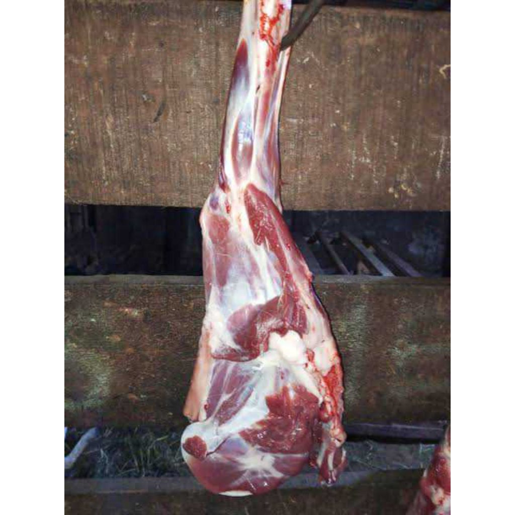 

Paha Belakang Kambing Spesial 1 Kg