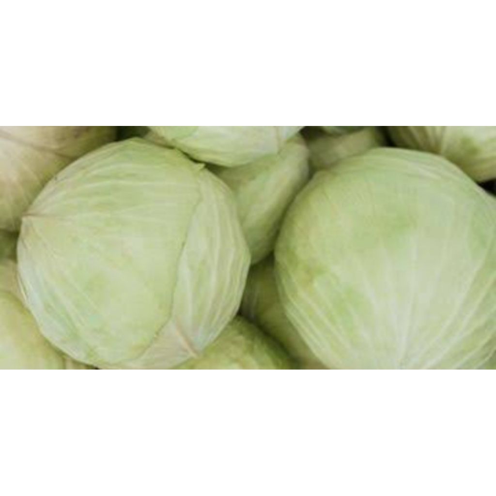 

kol putih super isi 5kg