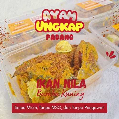 

Ikan Nila Bumbu Kuning Organik Tanpa Msg Pengawet Kota Padang