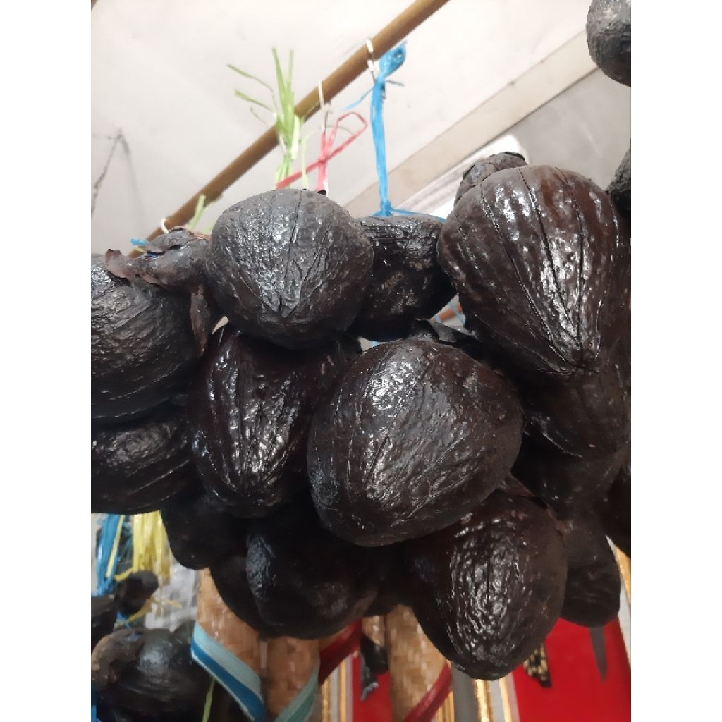 

buah ulur2 obat herbal ambiyen