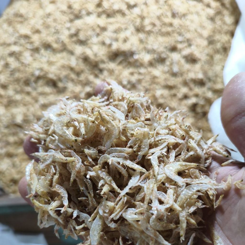 

udang papai udang rebon 500gram KALIMANTAN