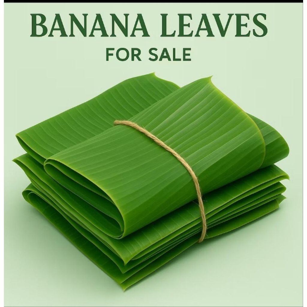 

Daun Fresh Pisang Kluthuk 1kg (Lebar & tidak mudah sobek)