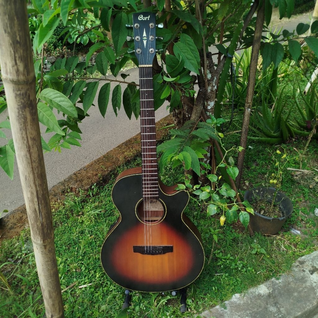 cort SFX 3 TSS caraya sg dan bass fender custom