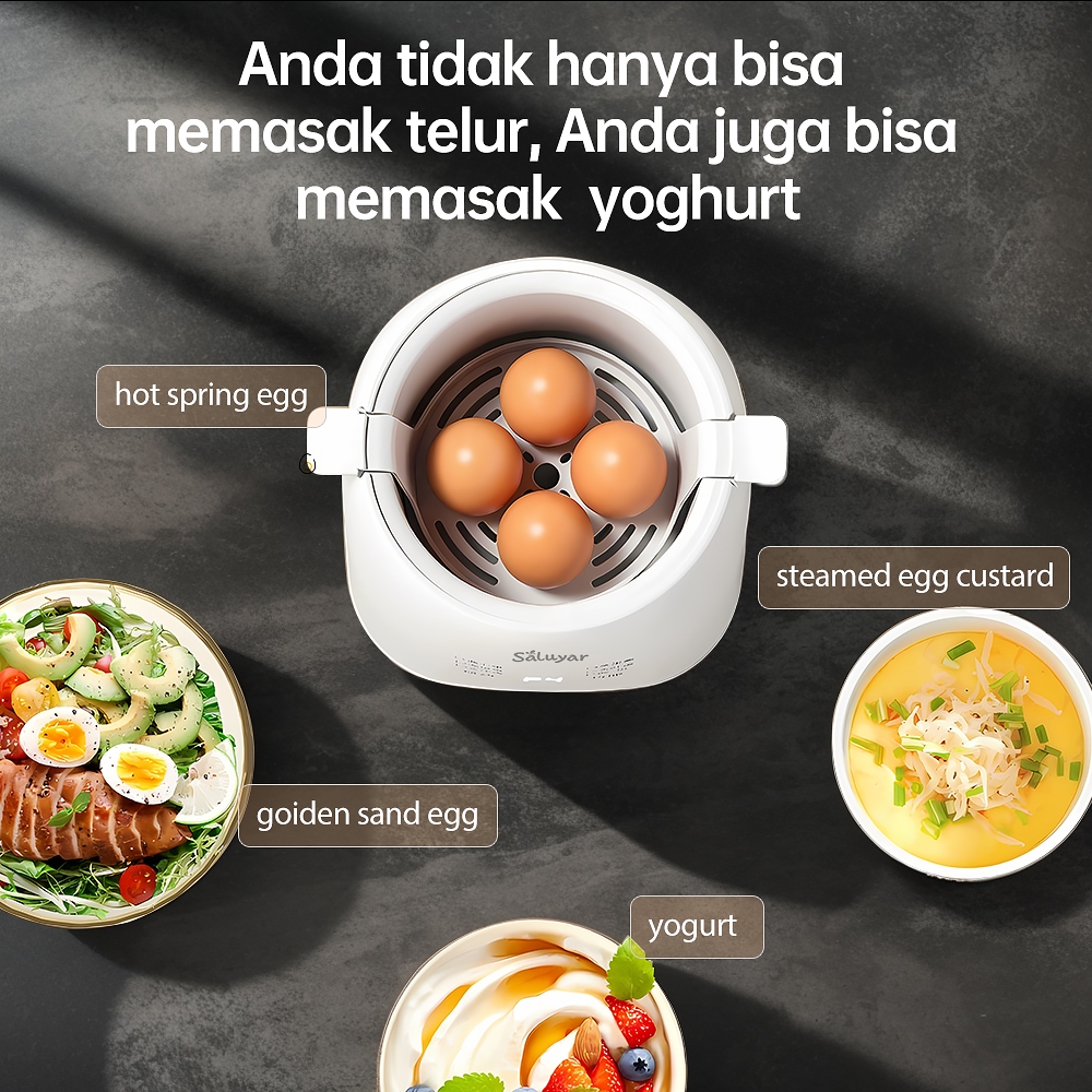 Saluyar Electric Egg Boiler Stainless Steel Plastic Double Layer Electric Egg Boiler 400Ml Dapat