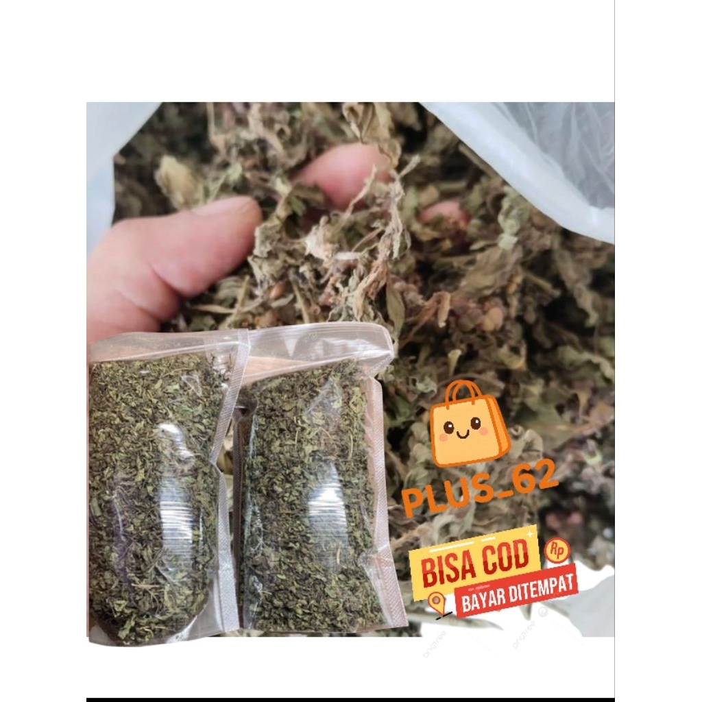 

Teh Jelatang Kering-Tea Daun Jelatang Instan Siap Seduh Kemasan 100 Grm