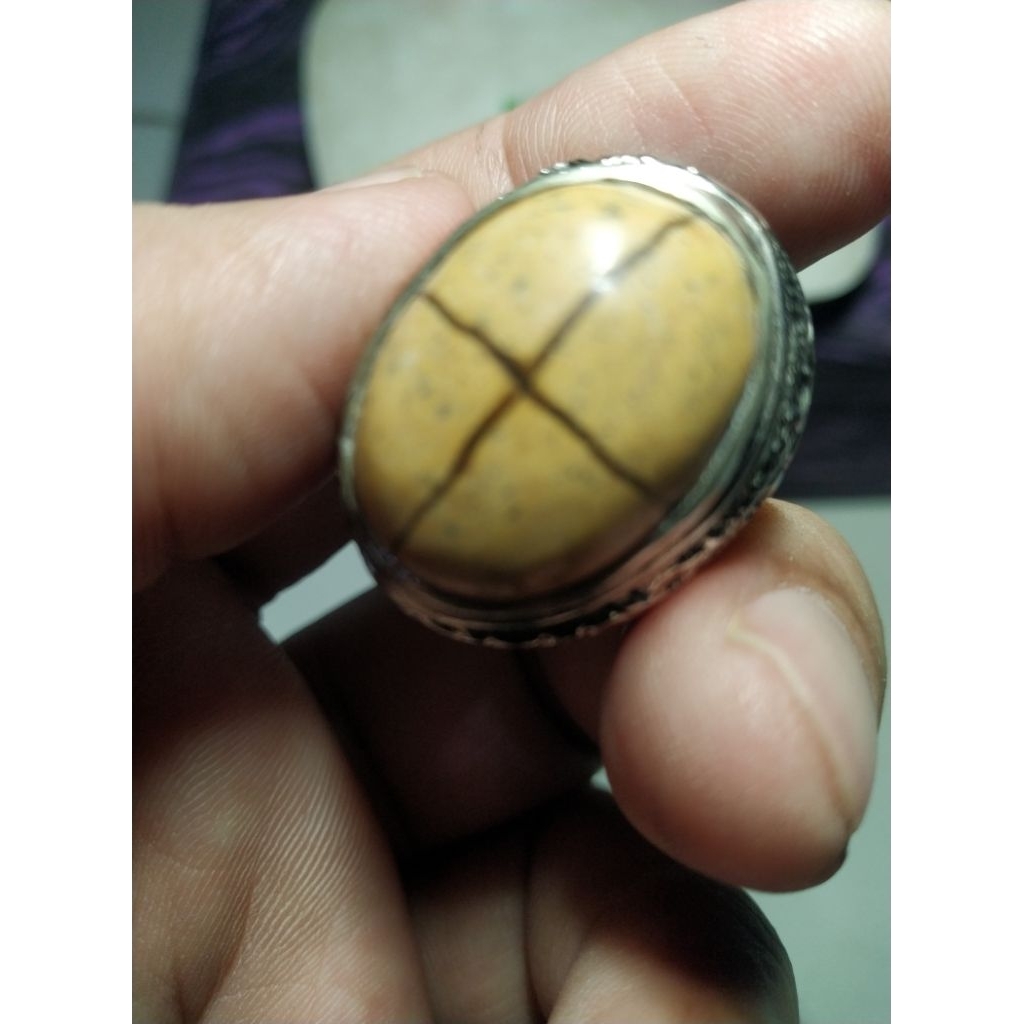 Batu Posil Motif Tapak Jalak Unik kode 46/926