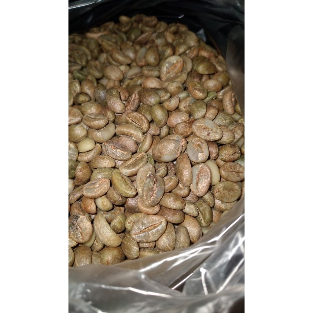 

ROBUSTA ASALAN TEMANGGUNG