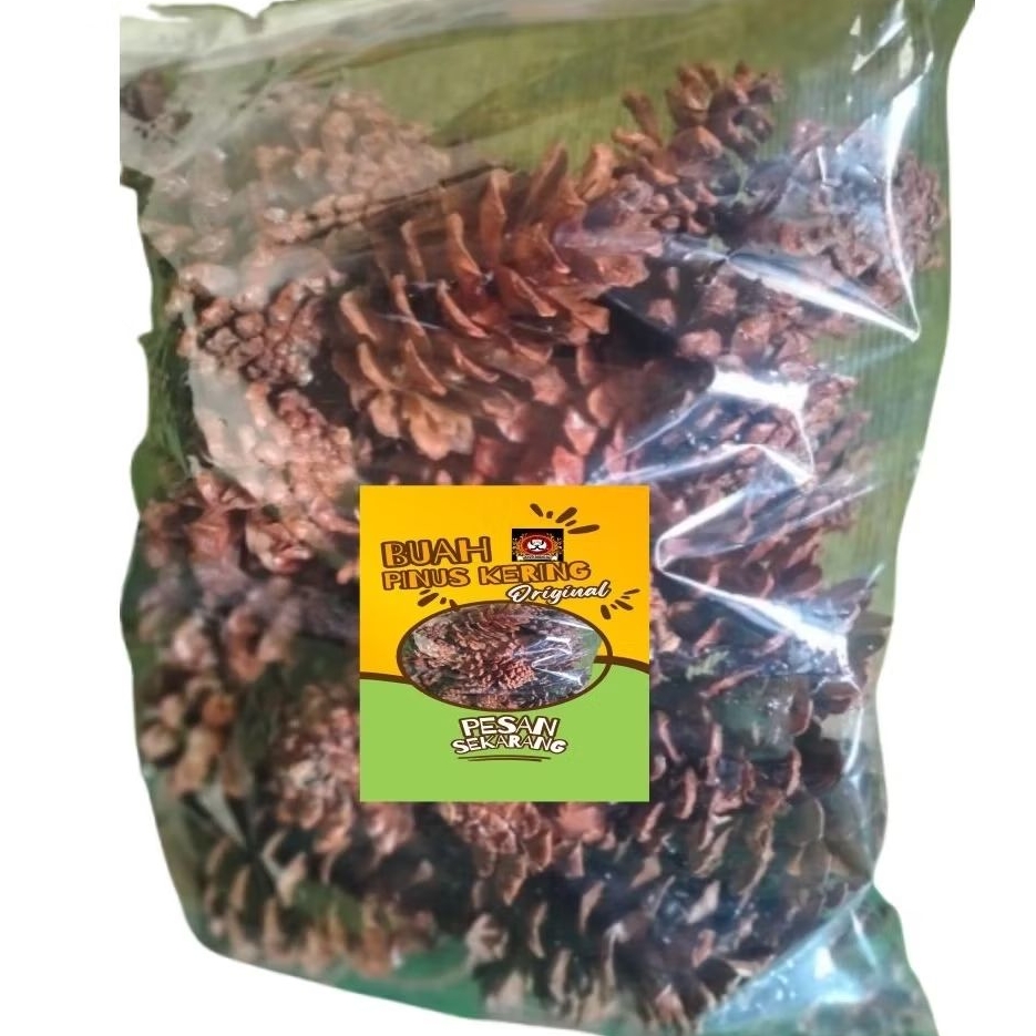 

Buah Pinus kering 300gram isi kemasan 40biji