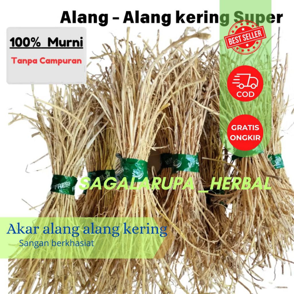 

akar alang alang kering super 1 kg siap kirim