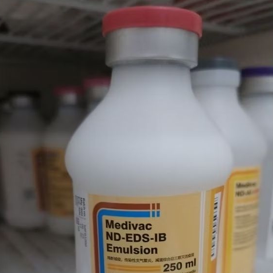 Vaksin Ayam Petelur Medivac ND EDS IB EMULSION 250 AYAM