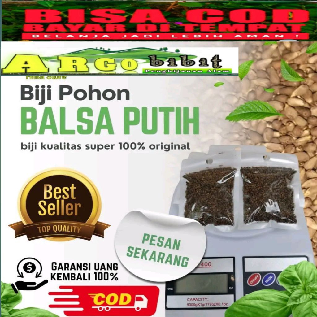 

biji kayu balsa full super original isi 1000 biji dan dapet bonus 100 biji