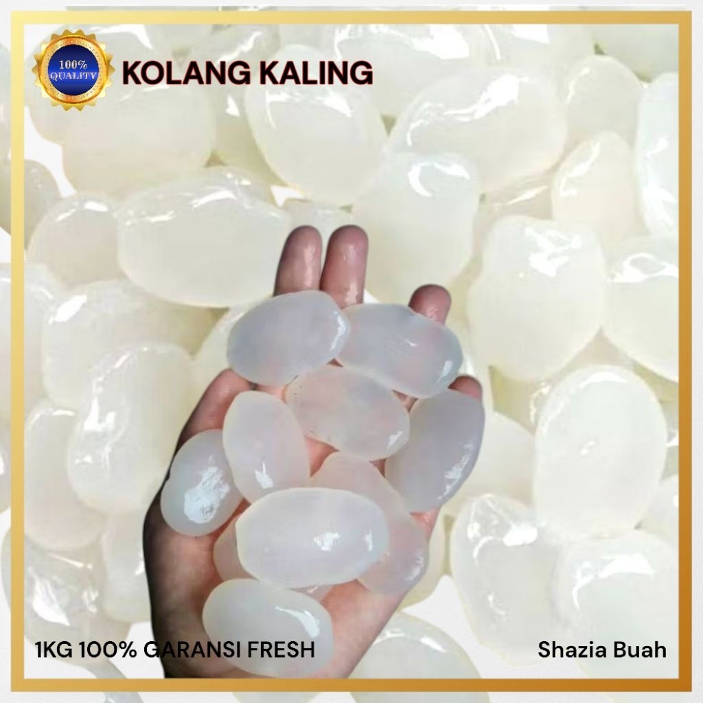 

Kolang Kaling / Cangkaleng / Buah Atep / Fresh / 1KG