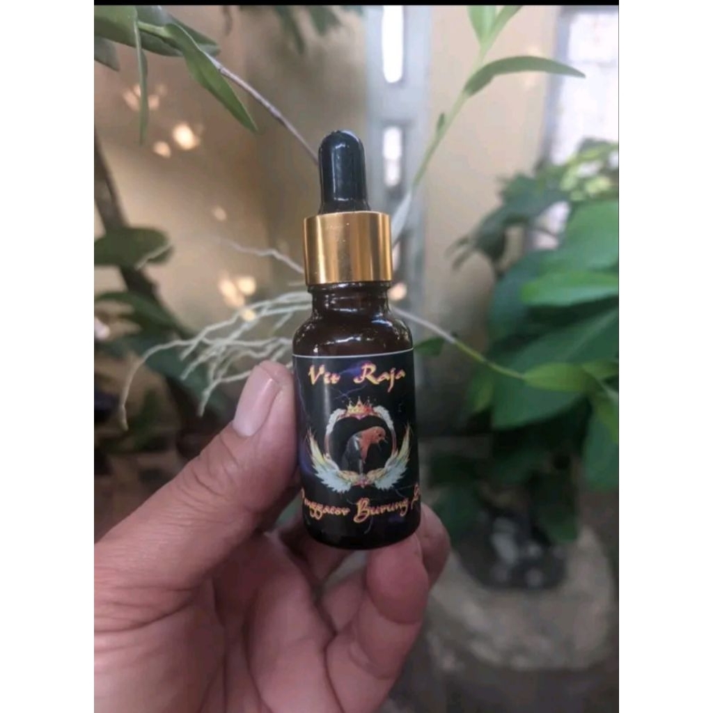 vitamin penggacor burung Anis merah