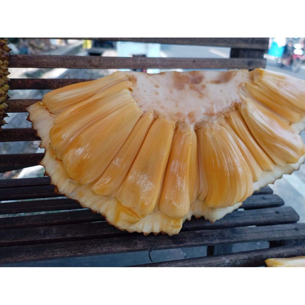 

Buah Nongko Nangka matang manis