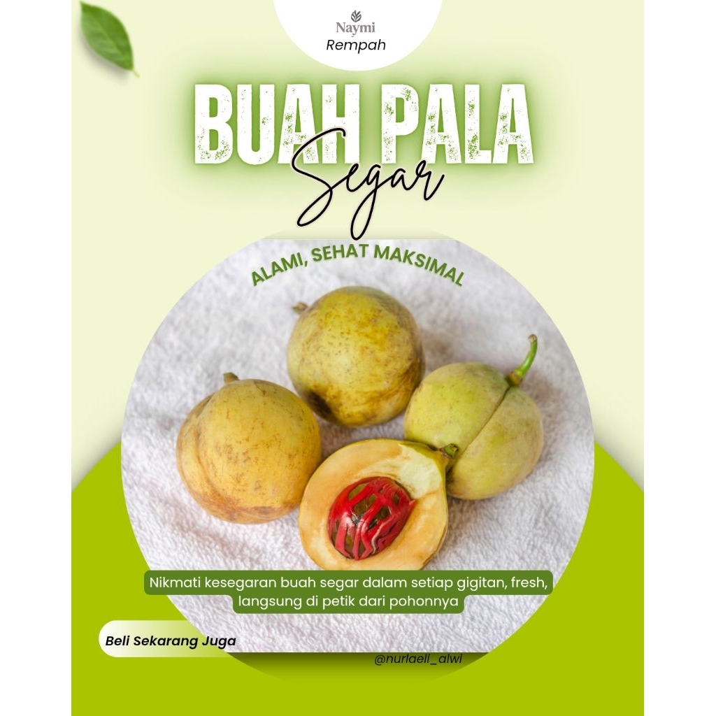 

BUAH PALA SEGAR 1KG