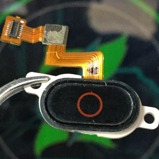 Finger print NUBIA M2 Play [ Copotan ]Tested✓