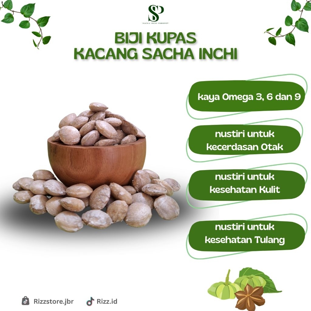 Kacang Sacha Inchi Biji kupas kaya omega 3, 6 & 9 organik dan alami