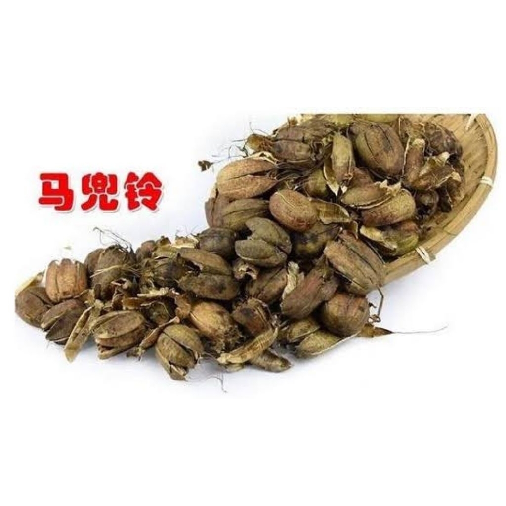 

100gr Ma Dou Ling Fructus Aristolochiae Aristolochia Debilis