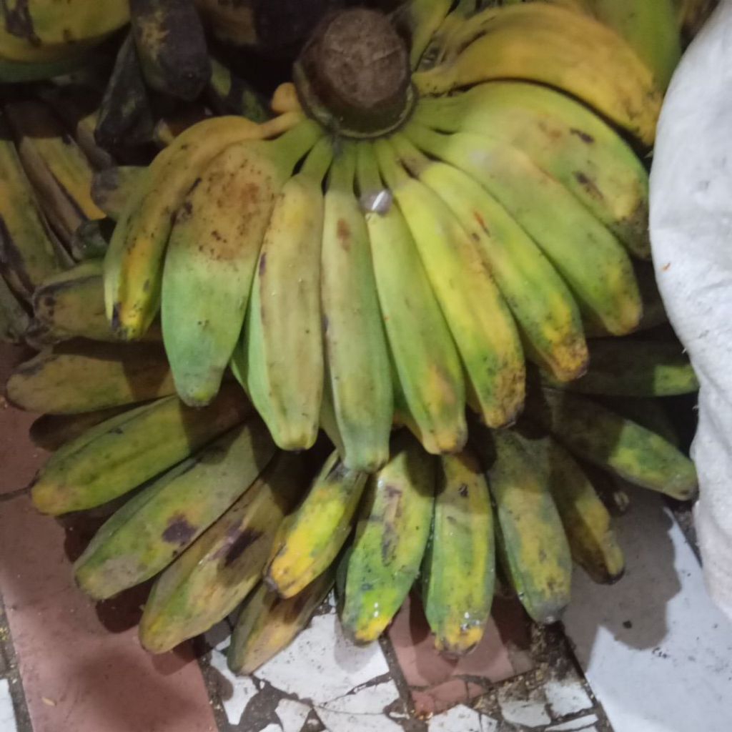 

pisang kepok fres