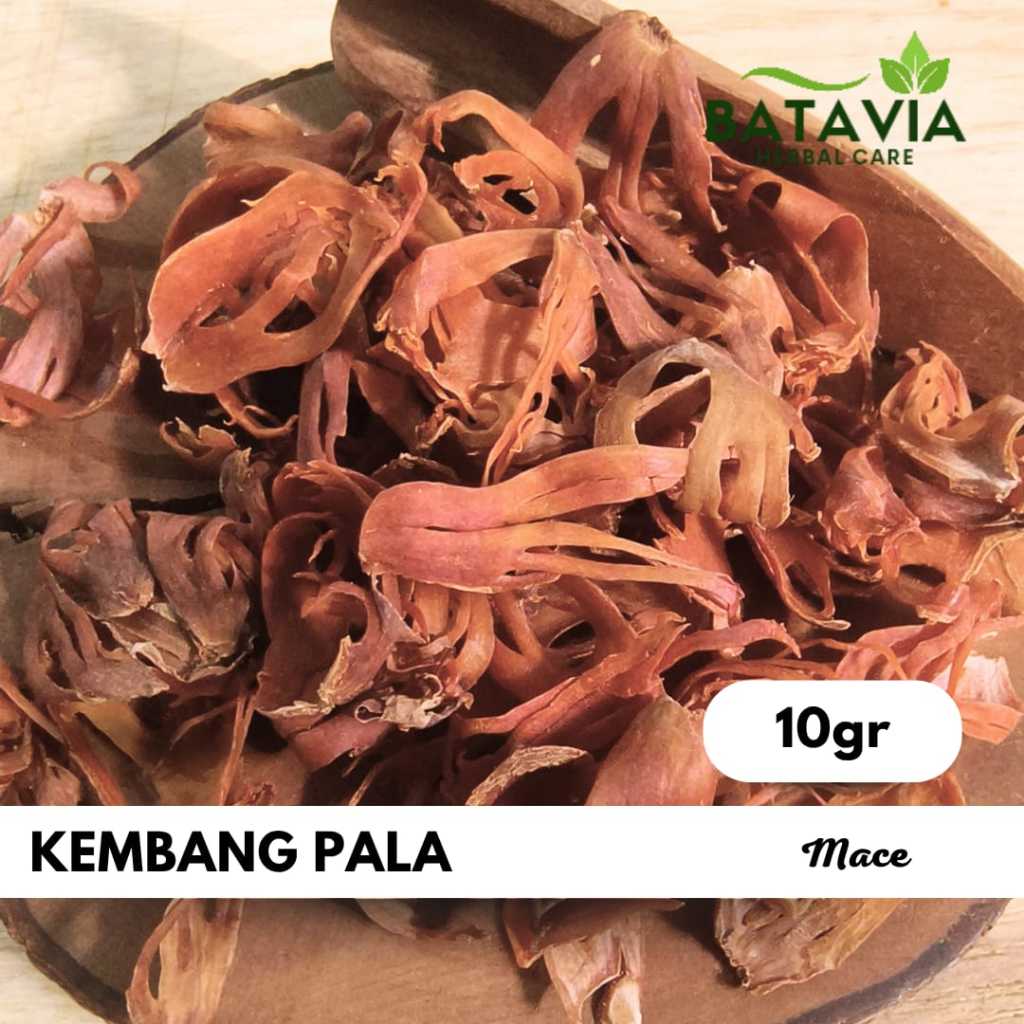

Kembang Pala Mace Nutmeg Fuli Bunga Pala Kering